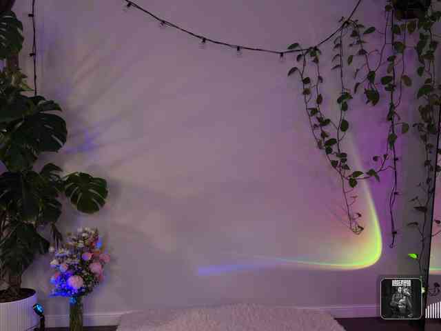 SOVA_tut webcam