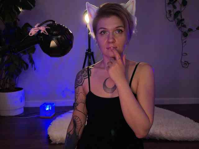 SOVA_tut webcam