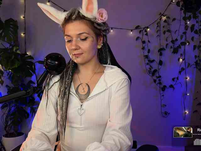 SOVA_tut webcam
