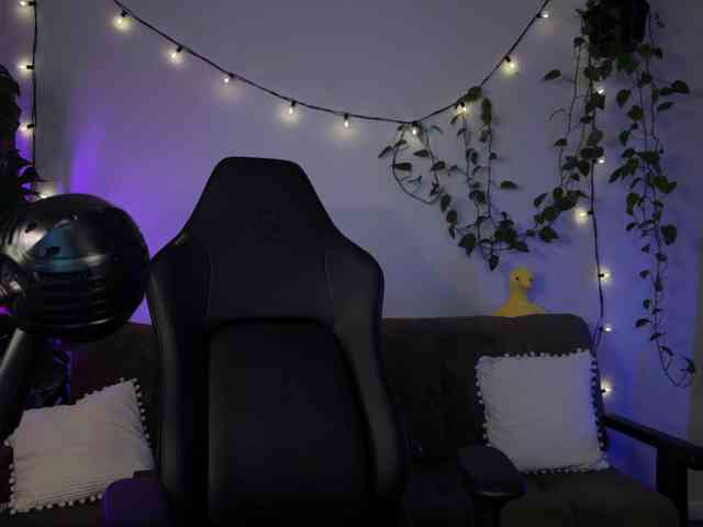 SOVA_tut webcam