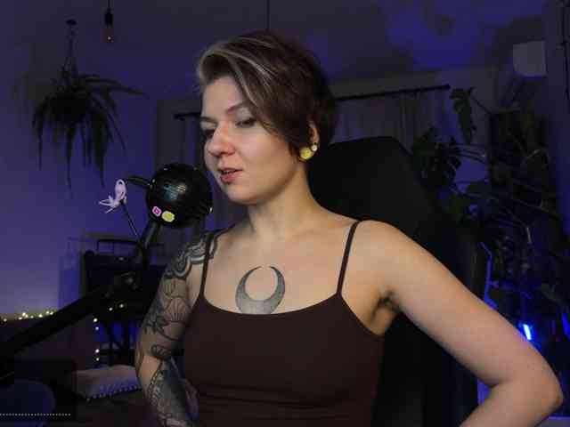 SOVA_tut webcam