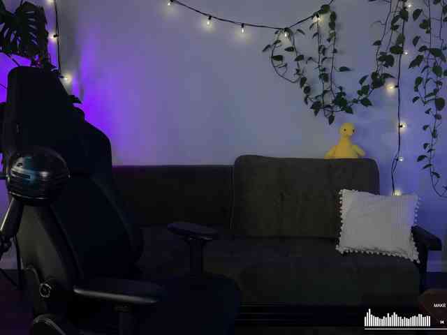 SOVA_tut webcam