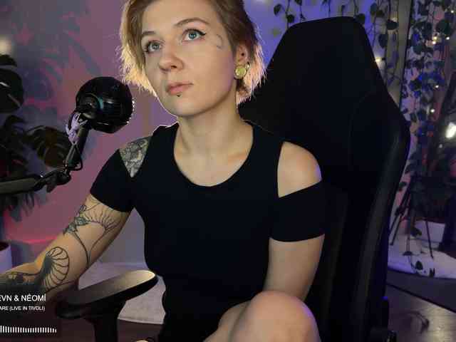 SOVA_tut webcam