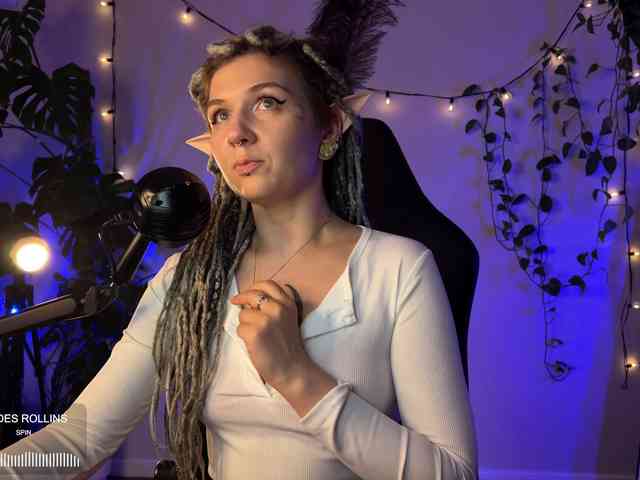 SOVA_tut webcam