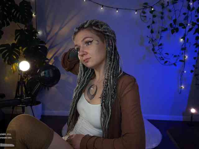 SOVA_tut webcam