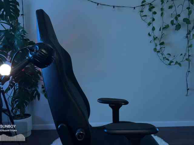 SOVA_tut webcam