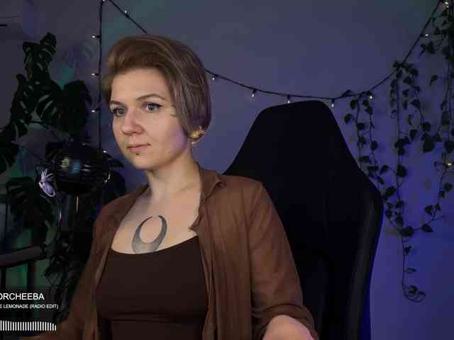 SOVA_tut webcam