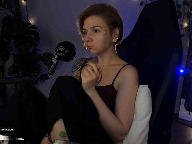 SOVA_tut webcam