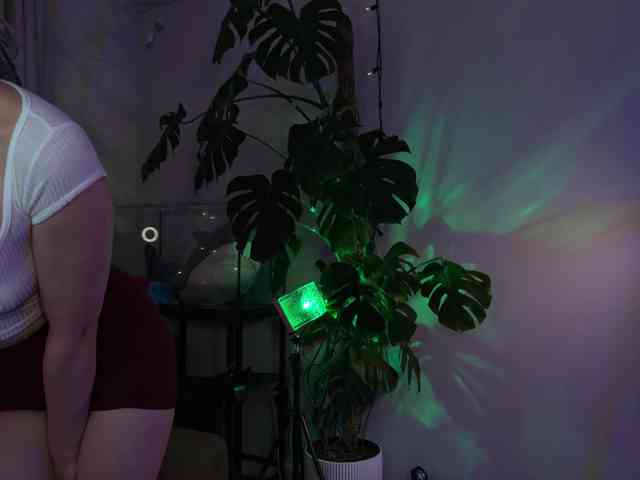 SOVA_tut webcam