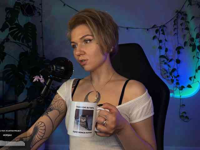 SOVA_tut webcam