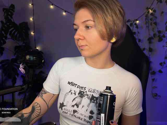 SOVA_tut webcam