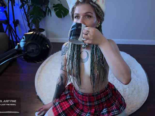 SOVA_tut webcam