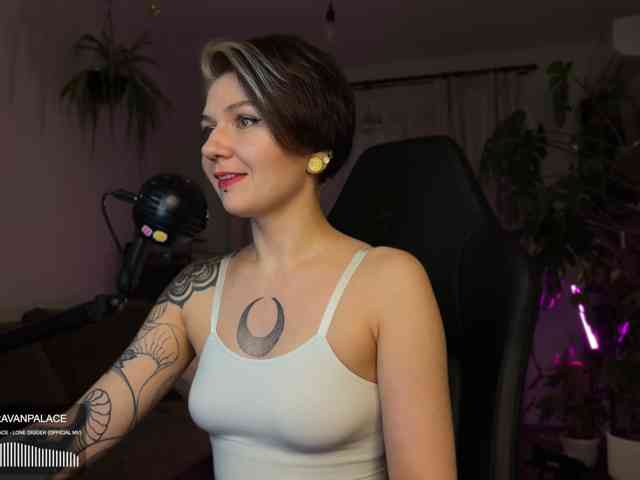 SOVA_tut webcam