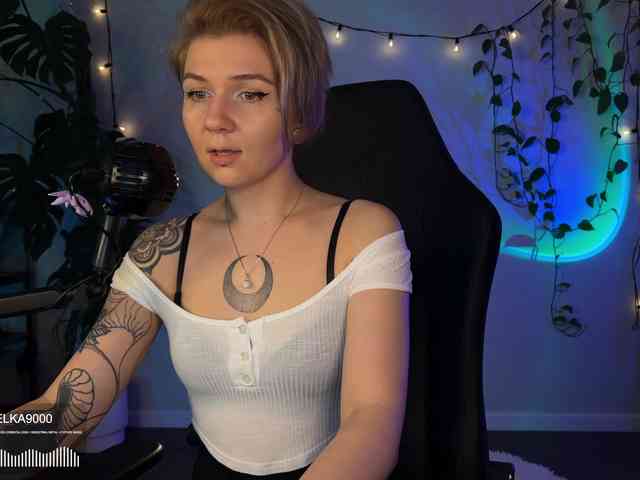 SOVA_tut webcam