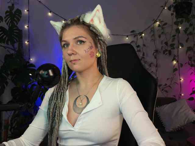 SOVA_tut webcam