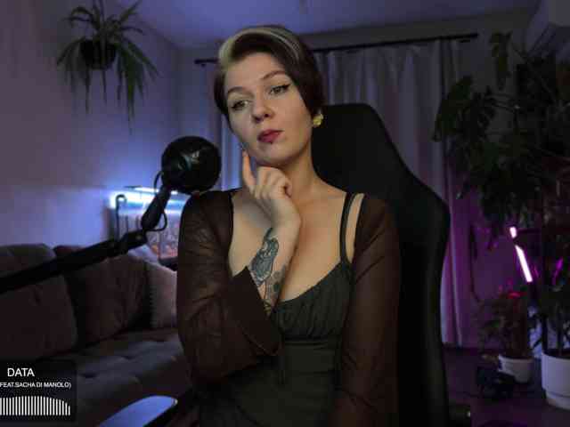 SOVA_tut webcam