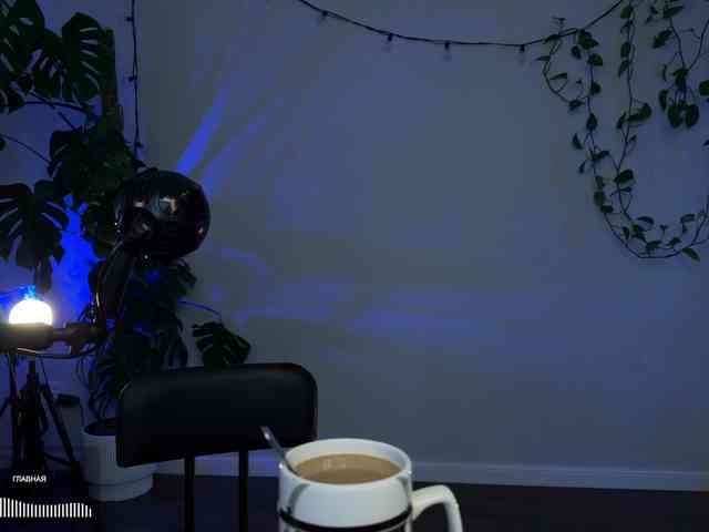 SOVA_tut webcam