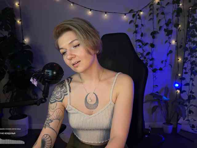 SOVA_tut webcam