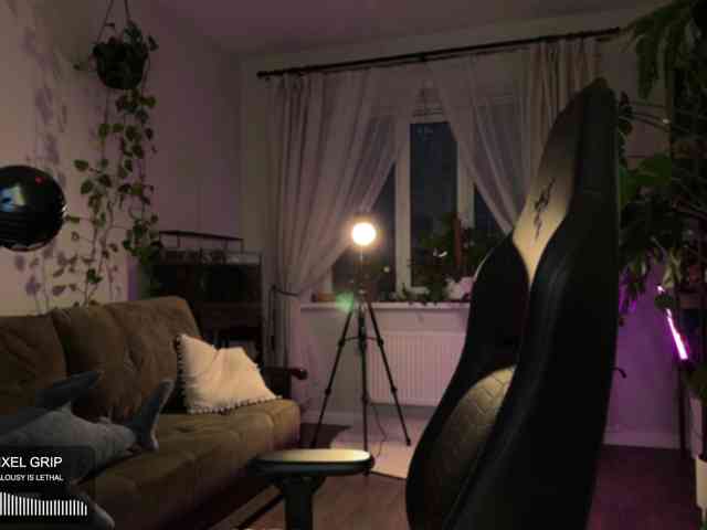 SOVA_tut webcam
