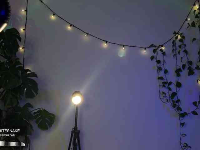 SOVA_tut webcam