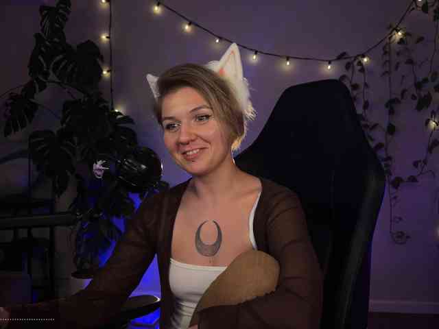 SOVA_tut webcam