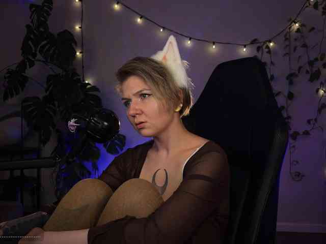 SOVA_tut webcam