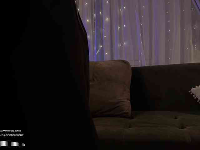 SOVA_tut webcam