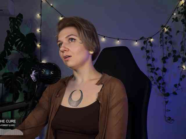 SOVA_tut webcam