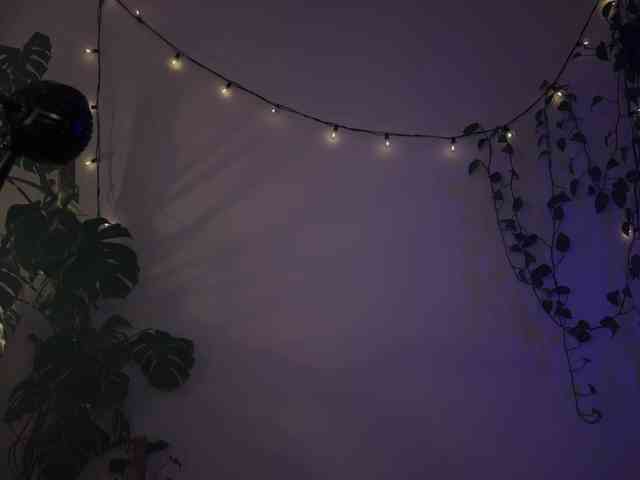bySOVA Sex Cam Show