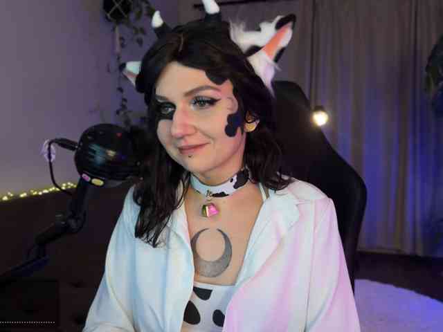 SOVA_tut webcam
