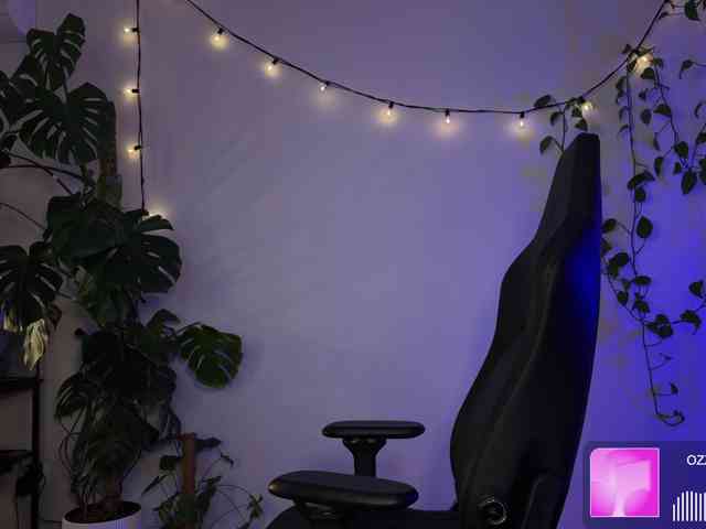 SOVA_tut webcam