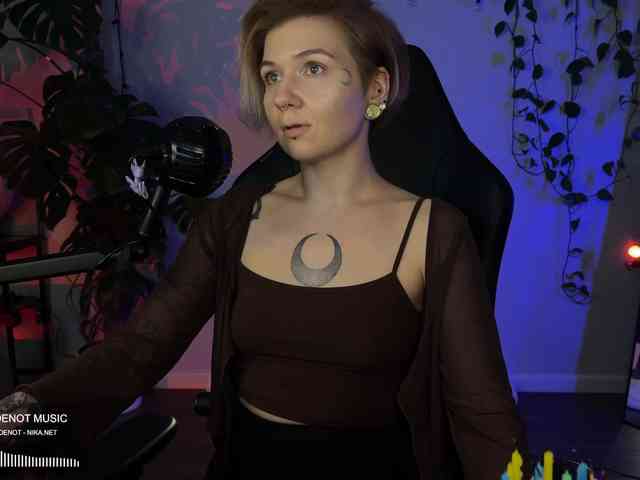 SOVA_tut webcam