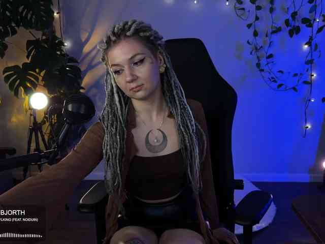 SOVA_tut webcam