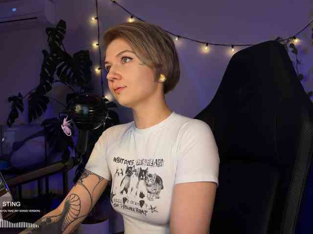 SOVA_tut webcam