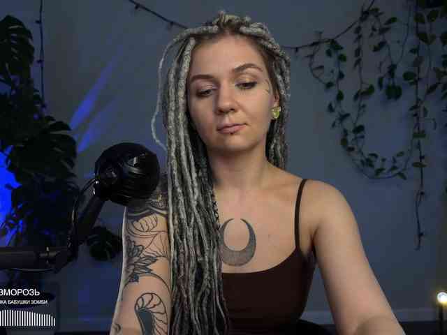 SOVA_tut webcam