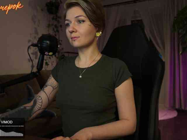 SOVA_tut webcam