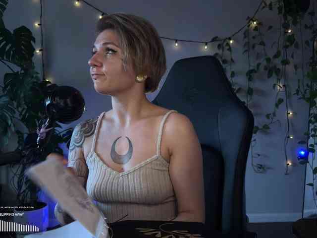 SOVA_tut webcam