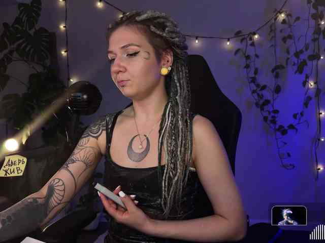 SOVA_tut webcam