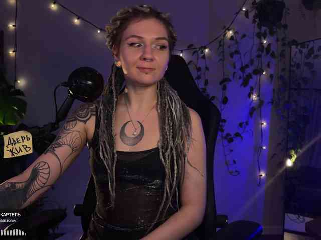 SOVA_tut webcam