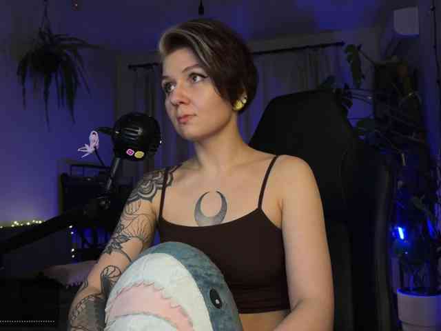 SOVA_tut webcam