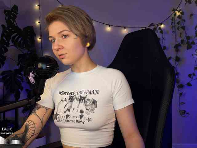 SOVA_tut webcam