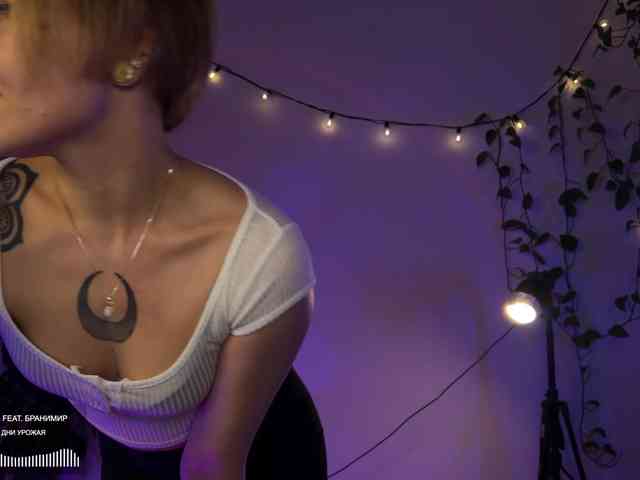 SOVA_tut webcam