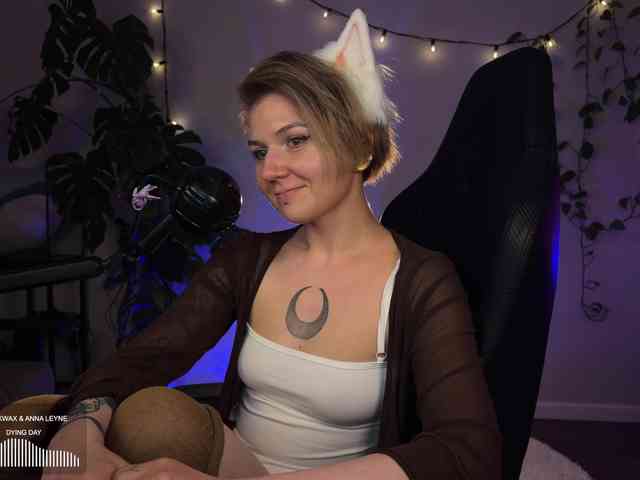 SOVA_tut webcam