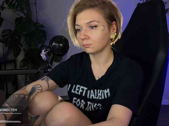 SOVA_tut webcam