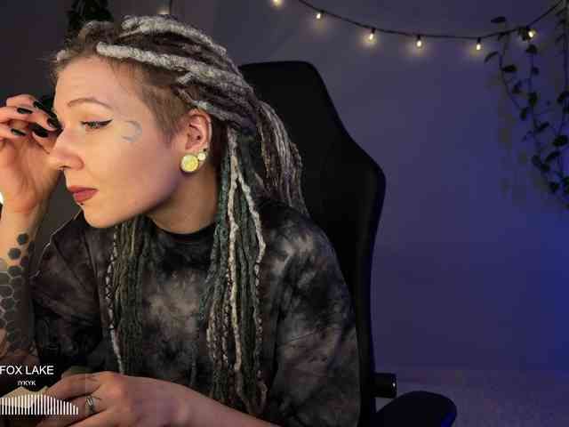 SOVA_tut webcam