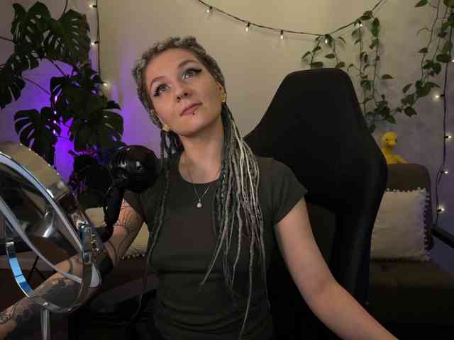 SOVA_tut webcam