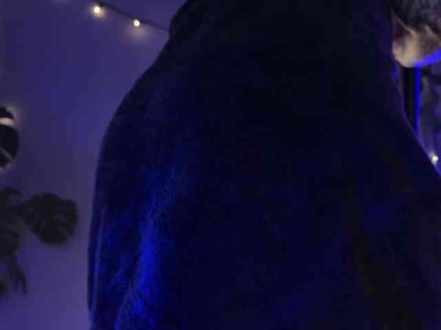 SOVA_tut webcam