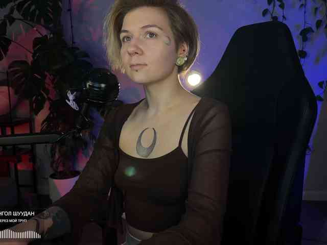 SOVA_tut webcam