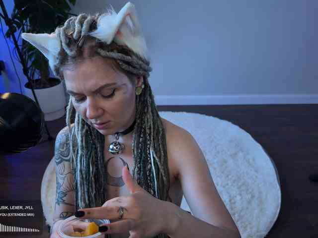 SOVA_tut webcam