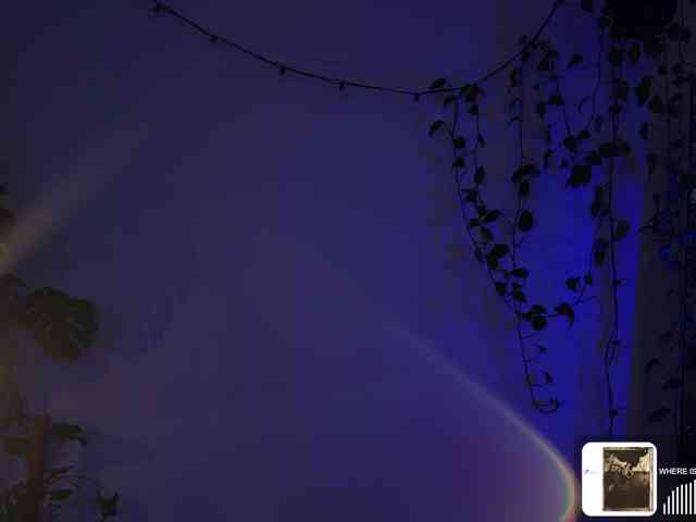 SOVA_tut webcam